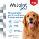 WeJoint Plus Large Breeds – Supliment Articular pentru Câini de Talie Mare, 30 Tablete – WePharm